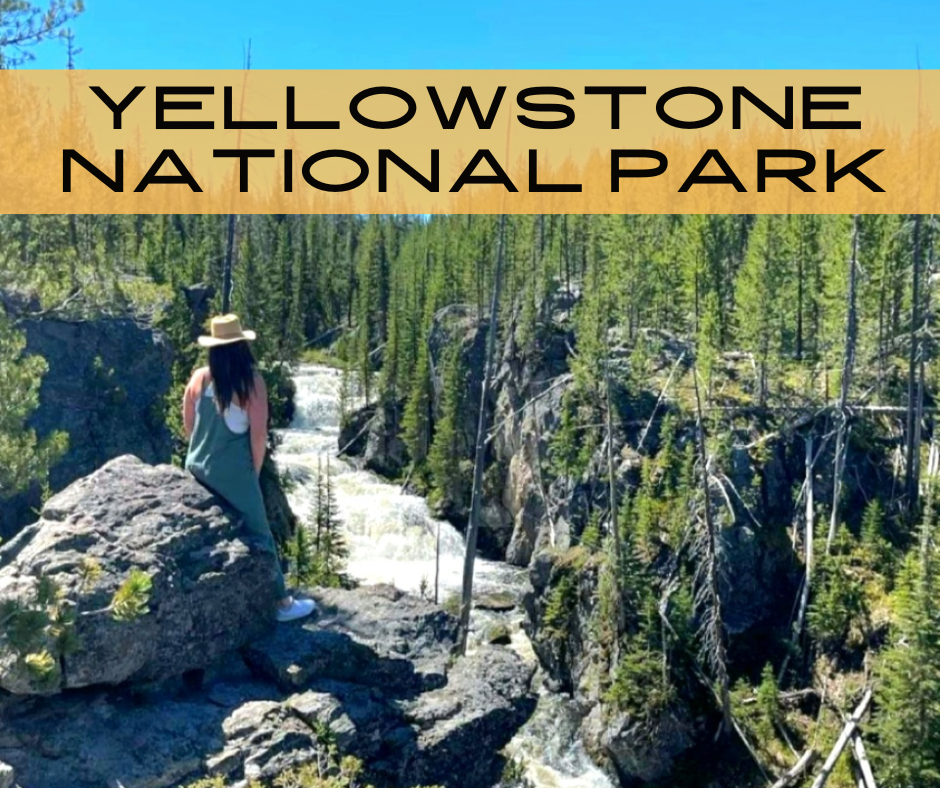 one day in yellowstone