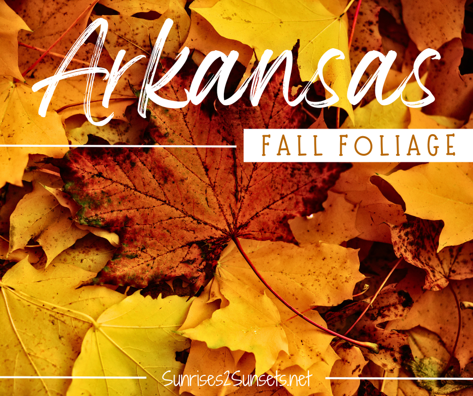 arkansas fall foliage sunrises2sunsets