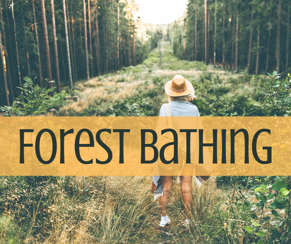 forest bathing