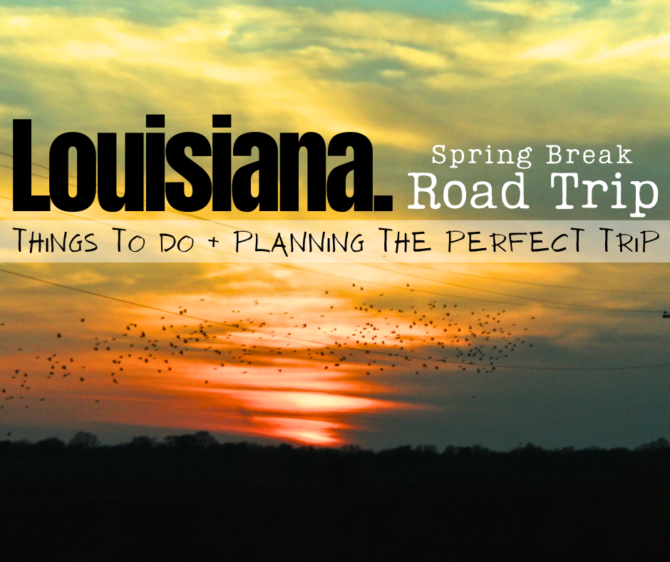 Bayou Bound. How to Plan the Perfect Road Trip + Best Things to Do in Louisiana