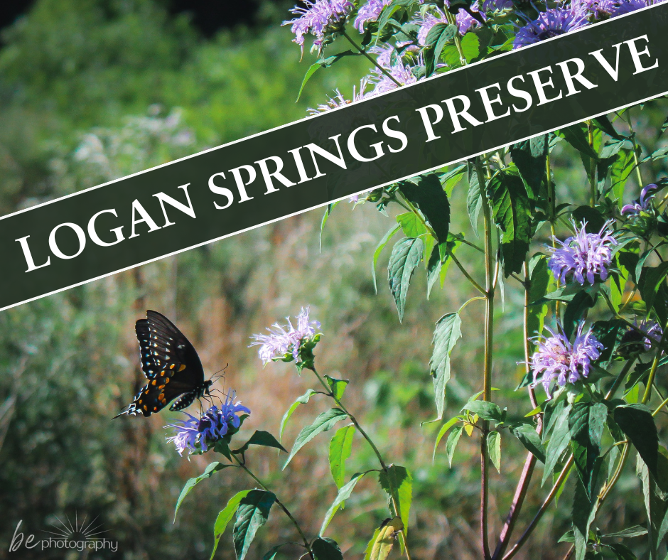 Hidden Gems in my Backyard: Logan Springs Preserve